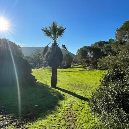 Quinta Do Vale Courtyard Sunrise Lägenhet *