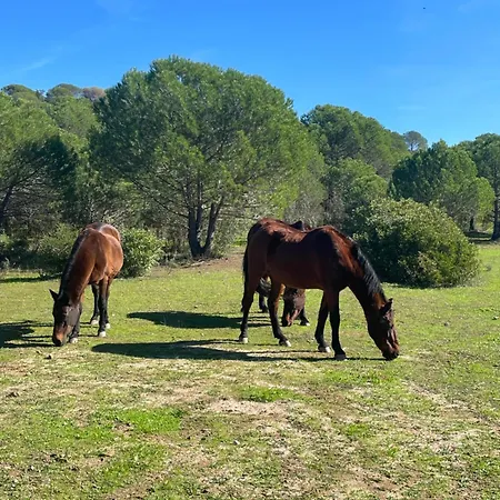 Quinta Do Vale Courtyard Sunrise *